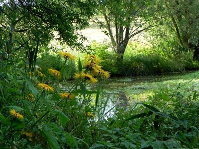 Jardin de l'Aubépré