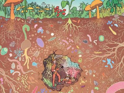 Jardin Botanique de Metz