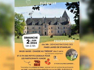 Château de Fléville