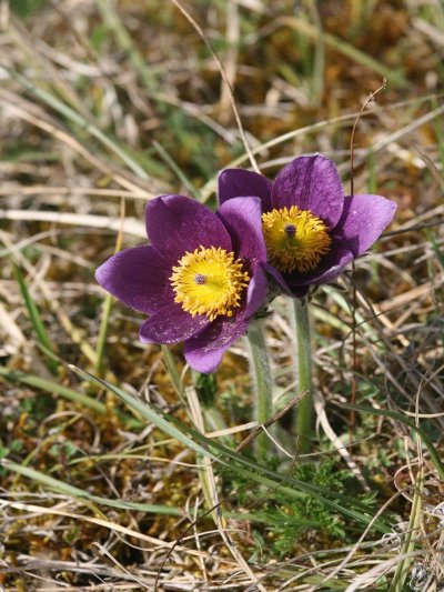 Sentier de la vallée des Cailles