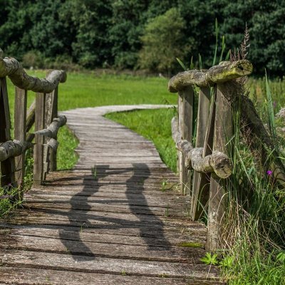 Sentier de la tourbière des Froux