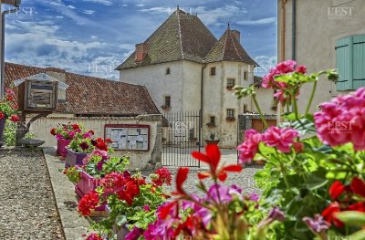 Le Jardin de la Renaissance Villey-Saint-Étienne