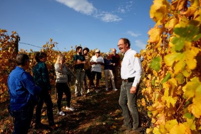 Domaine François et Blandine Rocault – « vis ma vigne » : l’éveil des sens dans les Hautes-Côtes de Beaune