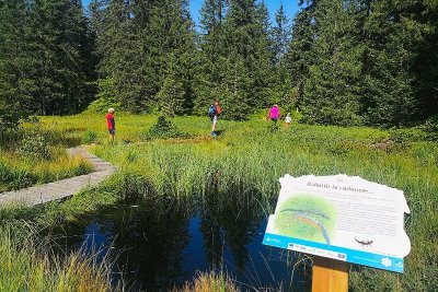 Sentier des Arpelières