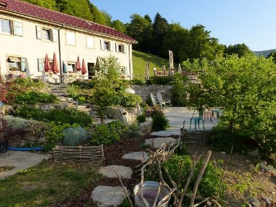 Balade ferme-auberge Gresson : Balade le long des murs de pierres