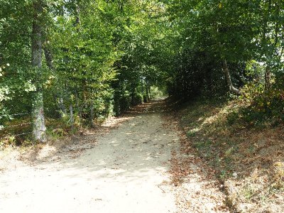 Circuit de randonnée : Circuit du Bois de Drouille