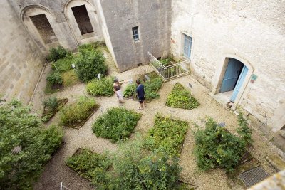 Jardin de simples - Jovilliers