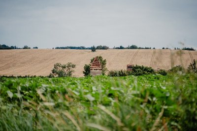 MÉTAIRIE DE LA COUR