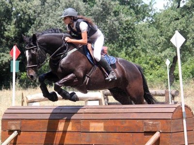 Club hippique des Pinchinats