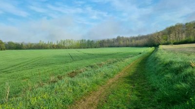 Circuit de Pousiniès PR2 St Etienne de Tulmont