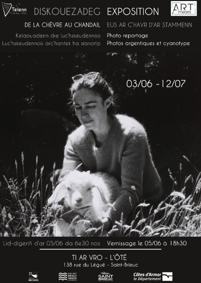 Exposition - Elisabeth Wadecki - Marshlands