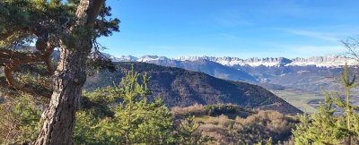 Arboretum de Combe Noire