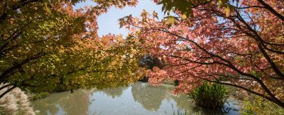 Jardin du Bois Marquis