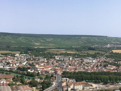 Visites guidées de la ville et du vignoble et programme journées