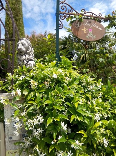 Jardin Le Clos Fleuri