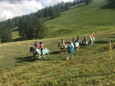 Les Ecuries de la Moute