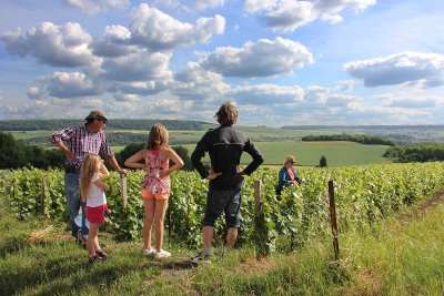 Balade commentée dans les vignobles champenois
