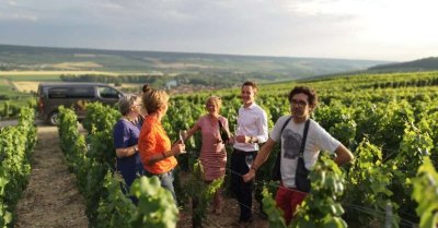 Sparkling Tour - Oenotourisme en Champagne