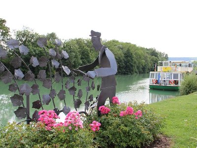 Jardin de vignes de Cumières