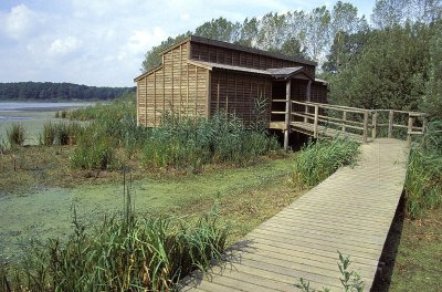 Observatoire ornithologique de l'Etang du Grand Coulon - Sud