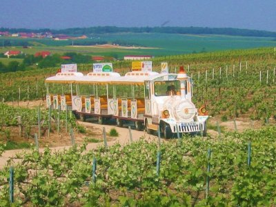 Le Petit train des Vignobles de Champagne