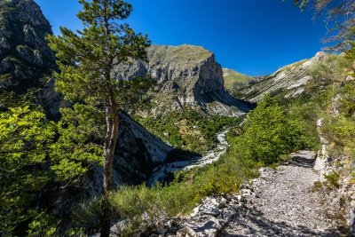 BALADE ESTIVALE " Découverte du Hameau de BEL AIR"