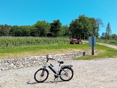 Jeu de pistes à vélo : la Balade Tous "en sel"