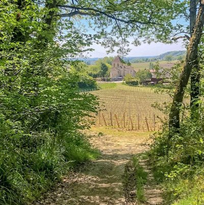 Boucle du vignoble Castillonnais