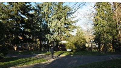 Jardin du Père Aymé Marey