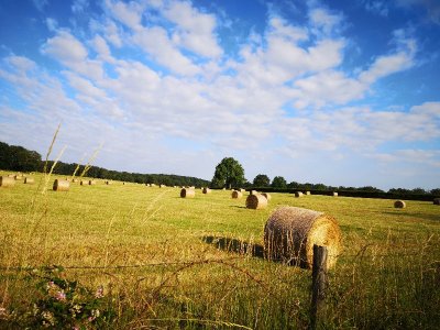 Circuit pédestre n°44 "De village en village"