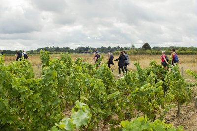 Circuit des Bernadettes