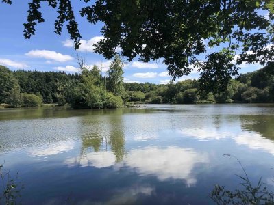 Le tour des étangs de Sillé