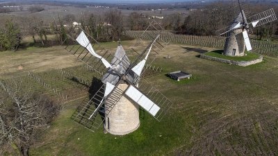 Boucle vélo : Tour du Grand Saint-Emilionnais
