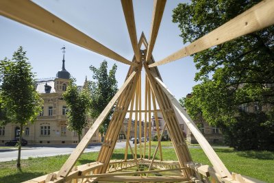 Forêt domaniale de Roumare
