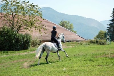 Ecole d'équitation de Peillonnex