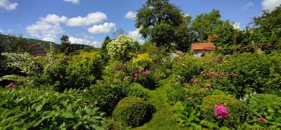 Le Jardin des Nouvelles