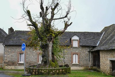 Orme de la révolution