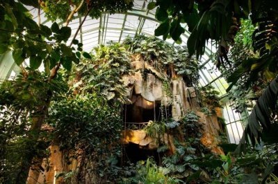 Grande Galerie de l'Evolution