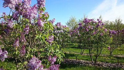 Pépinière départementale du Val de Marne