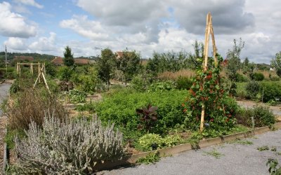 Circuit vélo 5 : les coteaux de Piétat et la voie ossaloise