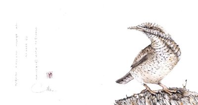 Enquêtes historiques du Château de Latour du Sorgues