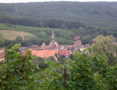 Bergholtz-zell