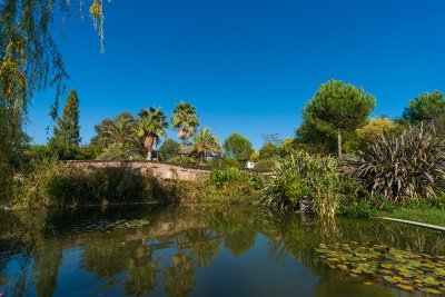Jardin de l'Île Verte "Pierre Fernez"