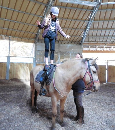 Centre d'équitation naturelle officiel des Carroz - Cheval des Cimes