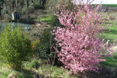 Jardin de Cantoperlic - le jardin des quatre saisons