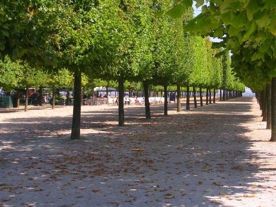 Parc des Sophoras à Montesson