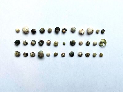 Exposition "Nos pierres, nos voisines"