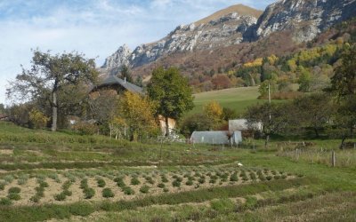 Des plantes et des animaux
