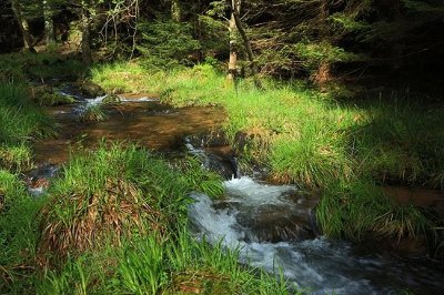 Circuit VTT 1 - La Mossig