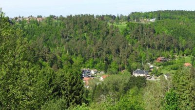 Circuit VTT 5 - Le Tirelire